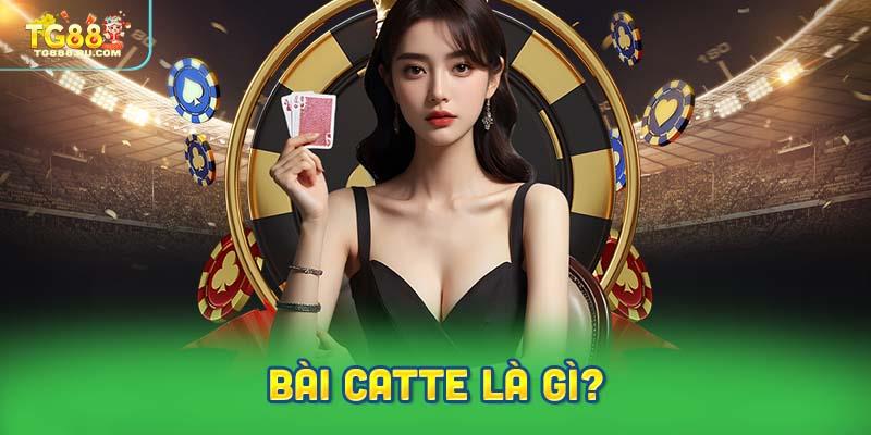 Bài Catte Là Gì?
