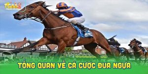 Khám phá tổng quan về cá cược đua ngựa