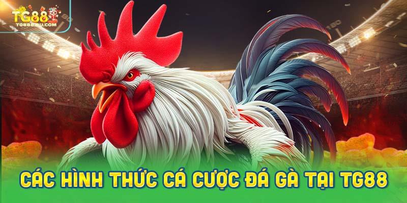 Các hình thức cá cược đá gà tại TG88