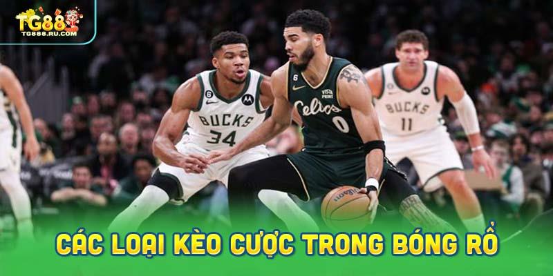 Phân loại các loại kèo cược trong bóng rổ