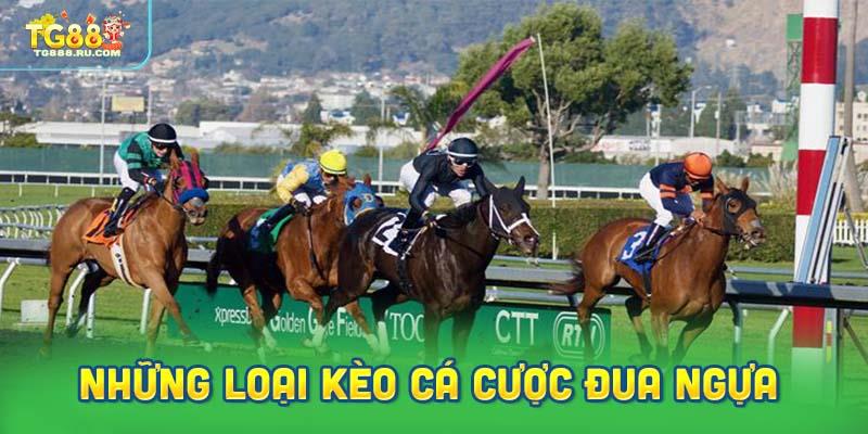 Những loại kèo cá cược đua ngựa thường gặp