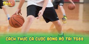Khám phá cách thức cá cược bóng rổ tại TG88