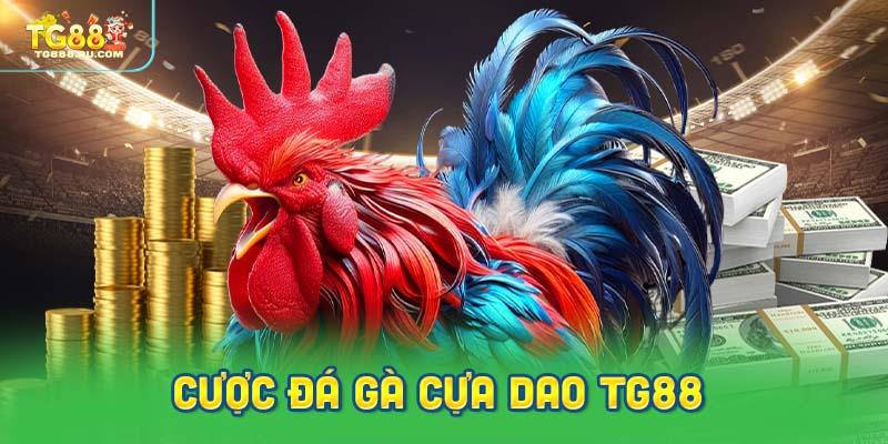 Cược đá gà cựa dao: Hình thức phổ biến tại TG88