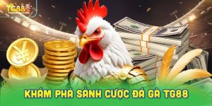 Khám phá sảnh cược đá gà TG88 thú vị và hấp dẫn