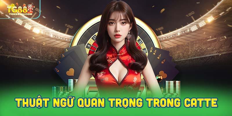 Những Thuật Ngữ Quan Trọng Trong Catte